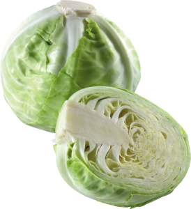 Cabbage PNG image-8799